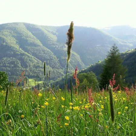 Obervostlhaus - Sehr Schoene Gemuetliche Almhuette Der Besonderen Art Holiday home