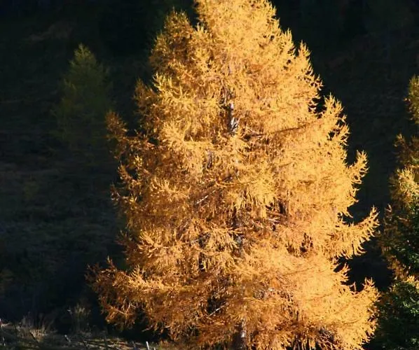 Obervostlhaus - Sehr Schoene Gemuetliche Almhuette Der Besonderen Art *