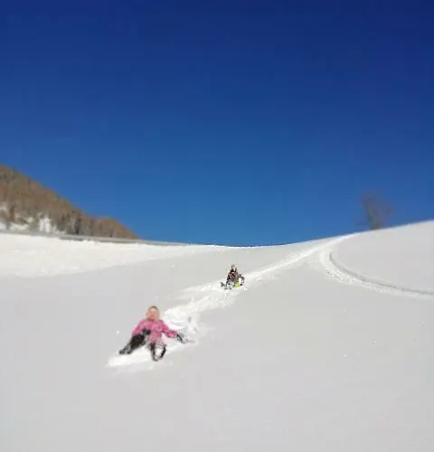 Obervostlhaus - Sehr Schoene Gemuetliche Almhuette Der Besonderen Art Hébergement de vacances Ebene Reichenau